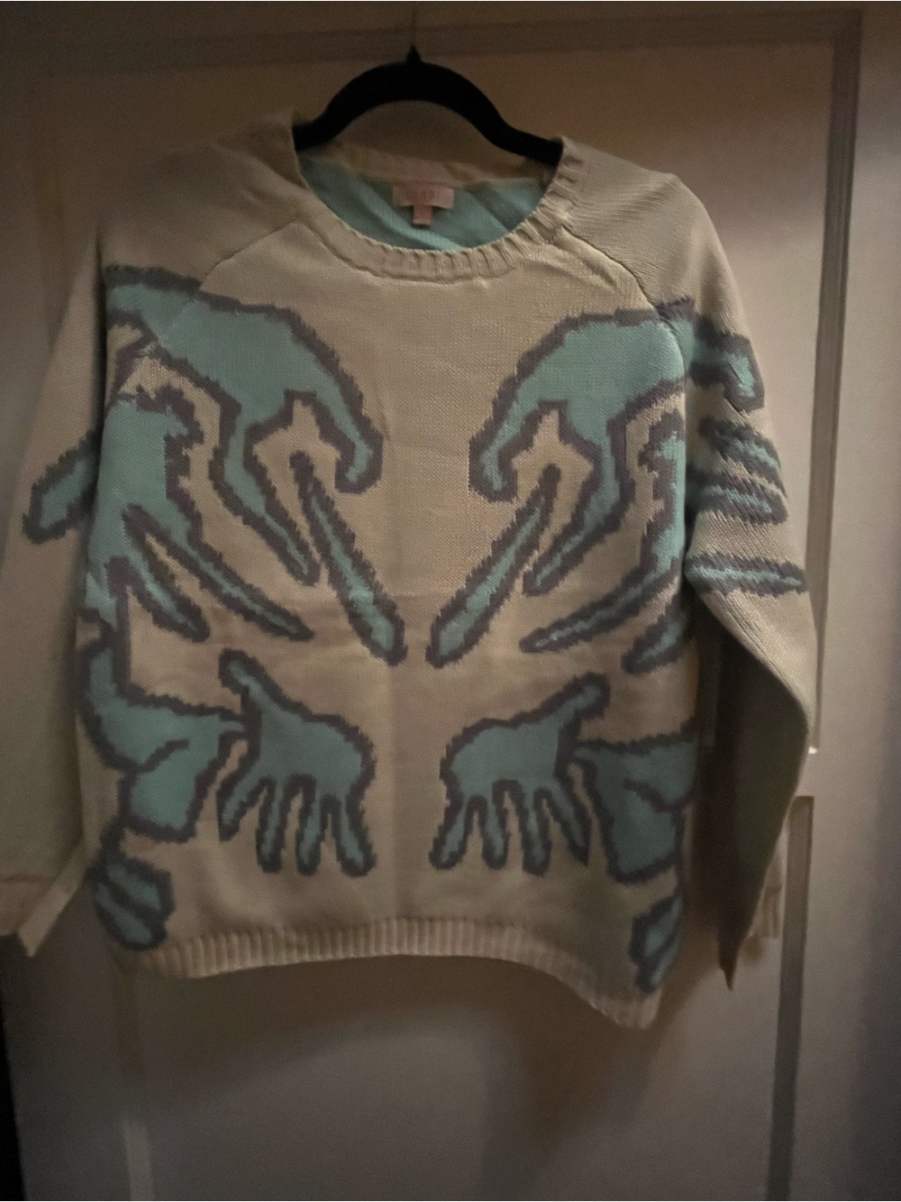 Women’s Cream & Light Blue Graphic Knit Sweater Size Large NEW